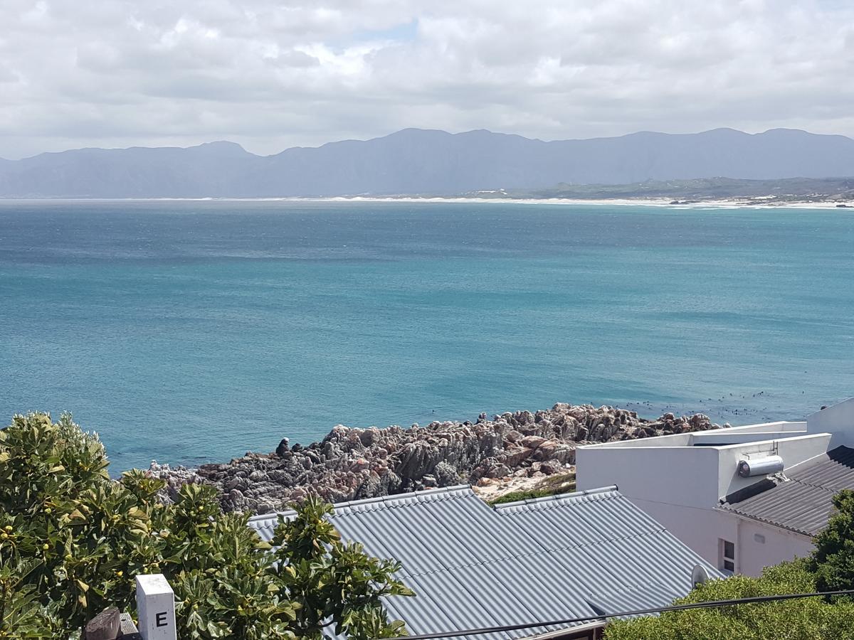 Amazing Grace B&B Gansbaai Eksteriør billede