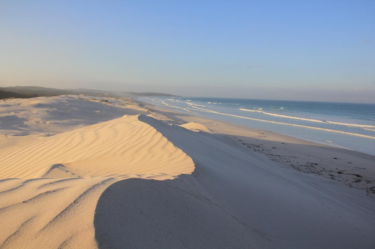 Amazing Grace B&B Gansbaai Eksteriør billede