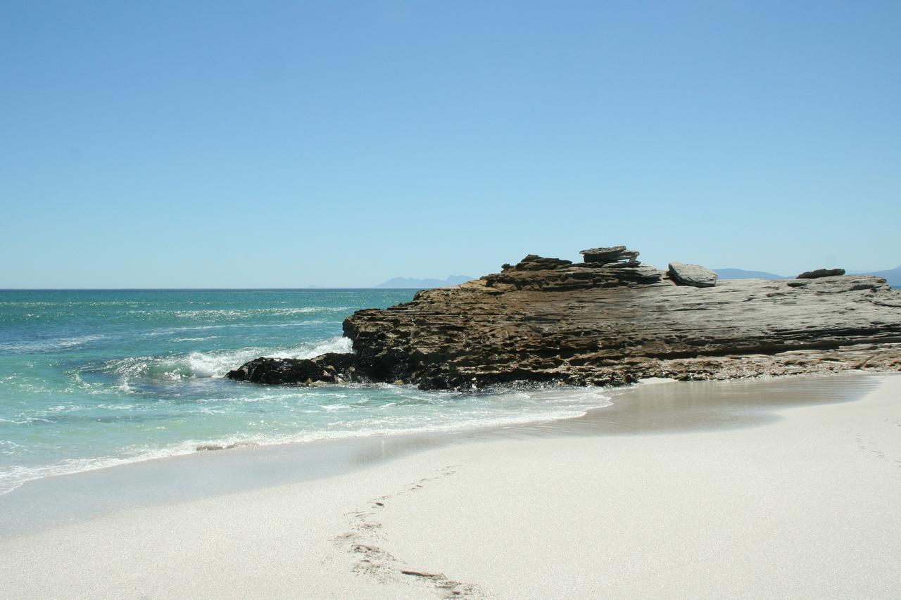 Amazing Grace B&B Gansbaai Eksteriør billede