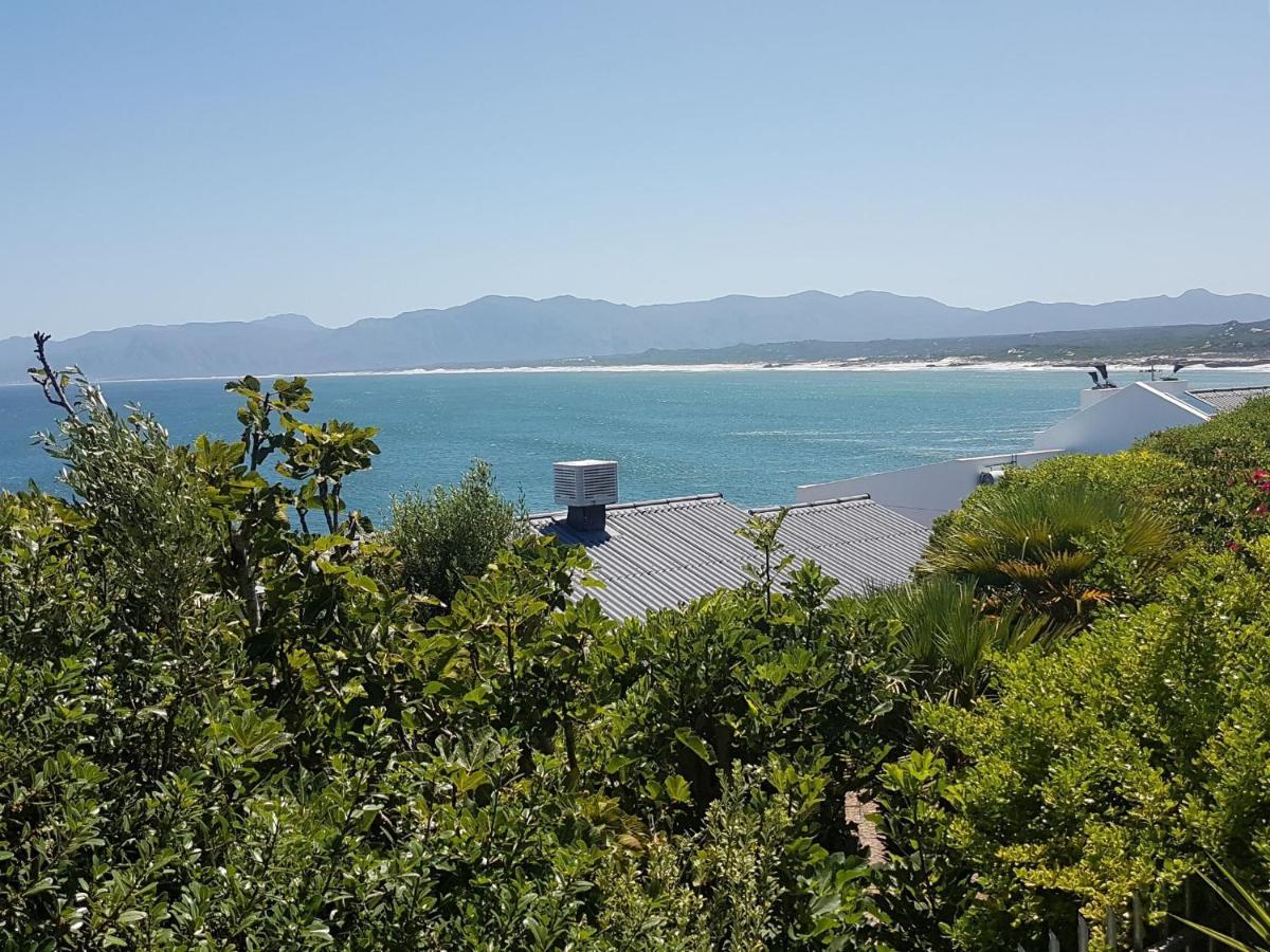 Amazing Grace B&B Gansbaai Eksteriør billede