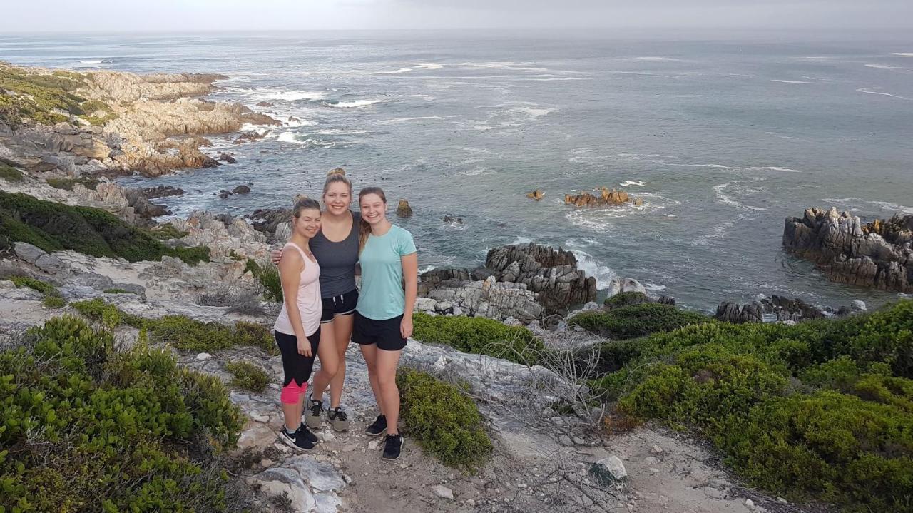 Amazing Grace B&B Gansbaai Eksteriør billede